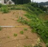 岩手県盛岡市B-0065